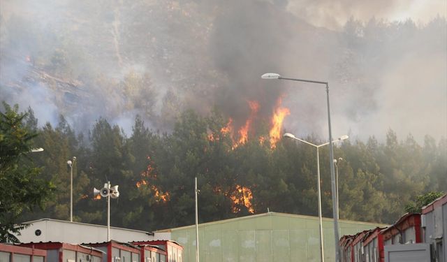 GAZİANTEP - Ormanlık alanda çıkarak barınma merkezine sıçrayan yangına müdahale ediliyor