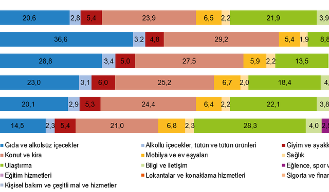 Hanehalkı bütçesinden en fazla pay konut ve kira harcamalarına ayrıldı