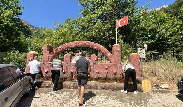 Kahramanmaraş’taki ‘ardıç suyu mesire alanı’ piknikçilerin uğrak yeri oldu