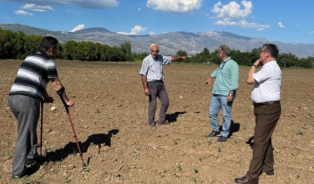 Erzincan Kuru Fasulye Verim Düşüklüğüne Çözüm: Yerel Çeşit Tescili ve Tohum Dağıtımı