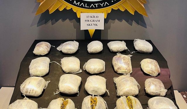 Malatya’da yolcu otobüsünde 13 kilogram skunk ele geçirildi