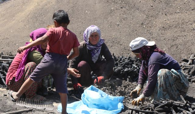 Erzincan'da Mangal Kömürü Üreticilerinin Zorlu Mücadelesi