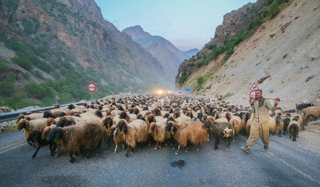 Siirtli göçerler, günler süren yolculuğun ardından Hakkari'ye ulaştı