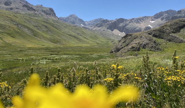 Erzincan'a gelen ve giden niçin ağlar?