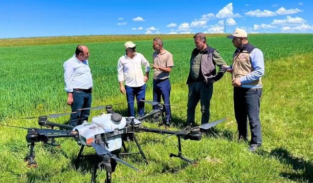 Tarım droneleri ile ilaçlama yapıldı