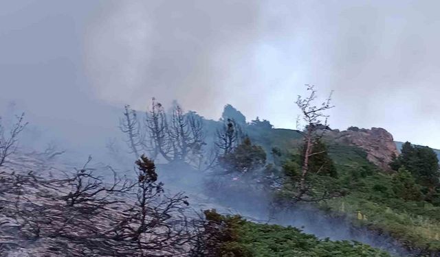 Tunceli’de ağaçlık alanda yangın