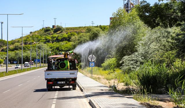 Van'da sinek ve haşerelere karşı ilaçlama çalışmaları sürüyor