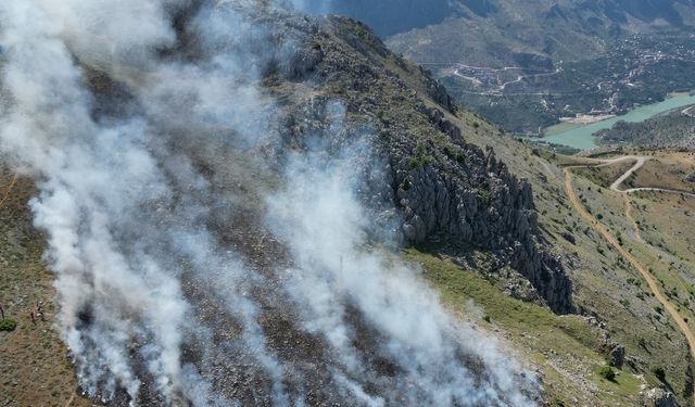 Kemaliye'de Arazi Yangını Söndürüldü!