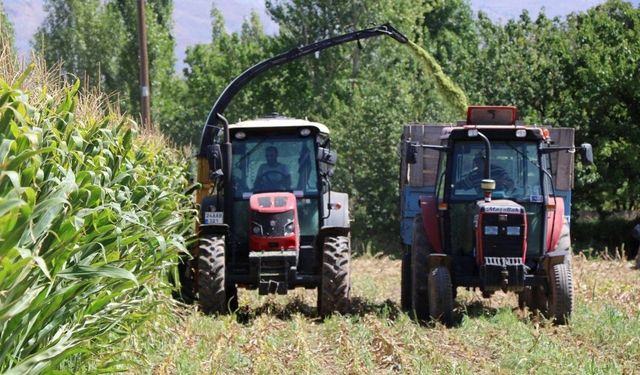 Yem Bitkileri Desteği Başvurularında  Son Gün 30 Haziran