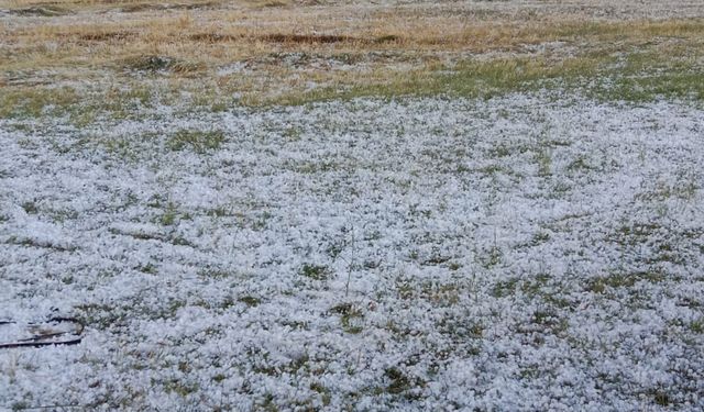 Ağrı'da dolu tarım arazilerine zarar verdi