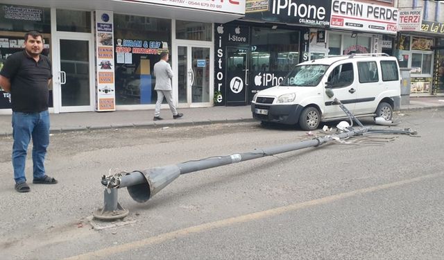 Ağrı'da rüzgar nedeniyle ağaçlar yerinden söküldü