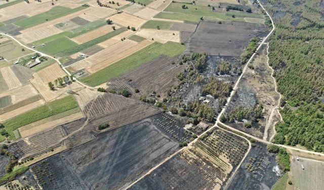 Başkan Bozbey’den ağaçlandırma çağrısı