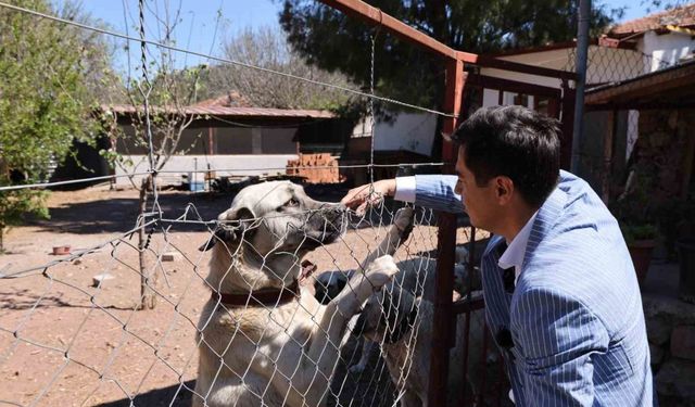 Başkan Ünlü’den ‘sahiplenme’ çağrısı