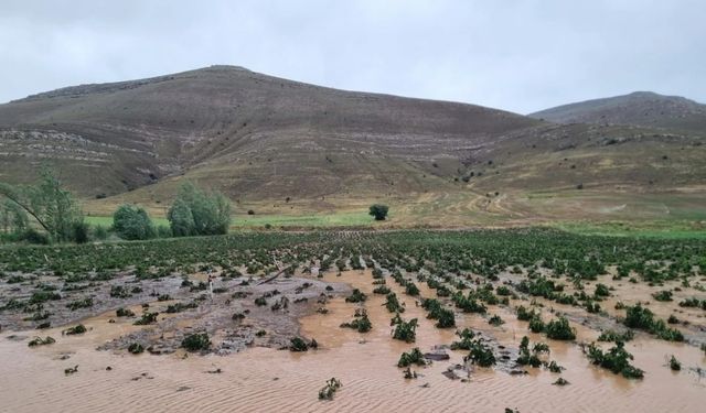 Bayburt’ta dolu ekili alanlara zarar verdi