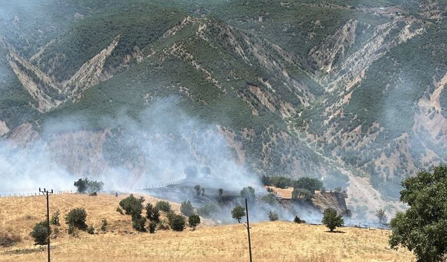 Bingöl'ün 2 ilçesinde çıkan orman yangınları söndürüldü