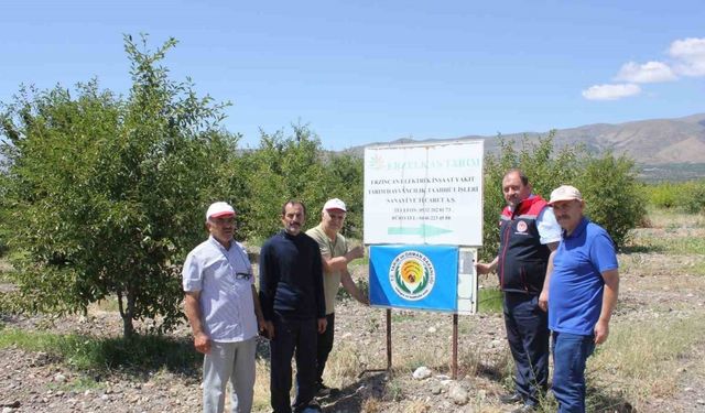 Erzincan’da bahçelere mavi bayrak