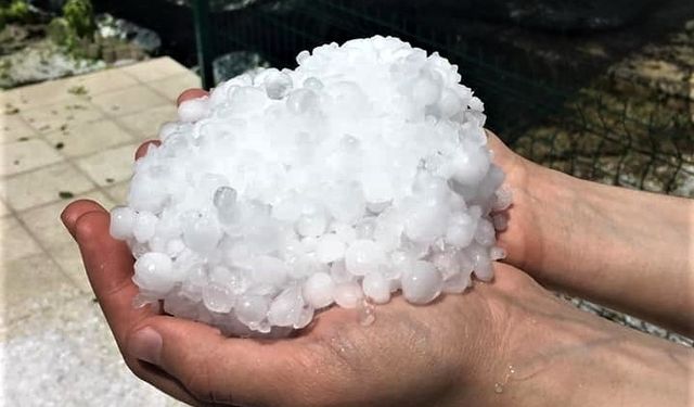 Erzincan’da dolu yağışı sebze ve meyveyi vurdu