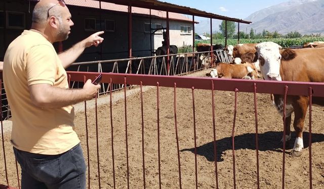 Erzincan’da hayvancılık işletmelerine sağlık taraması