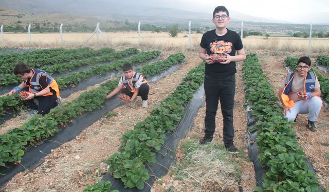 Erzincan'da "Köyümde 3 Gün" projesiyle gençler köy hayatıyla buluşuyor