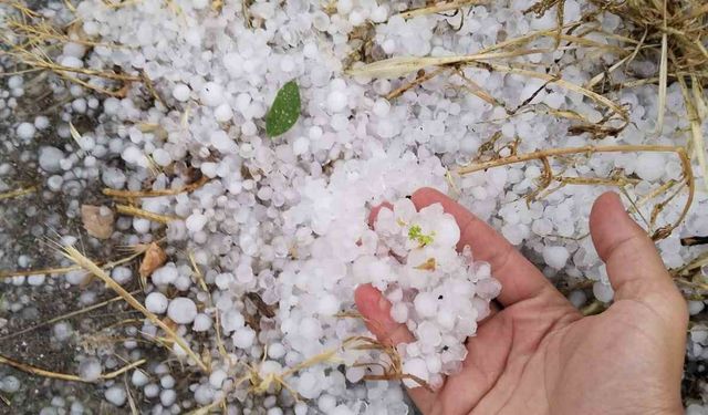 Erzincan’ın Tercan ilçesinde dolu etkili oldu