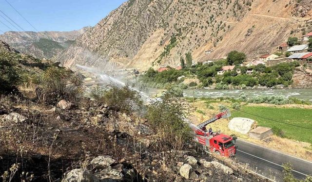 Hakkari-Van kara yolu yakınında anız yangını