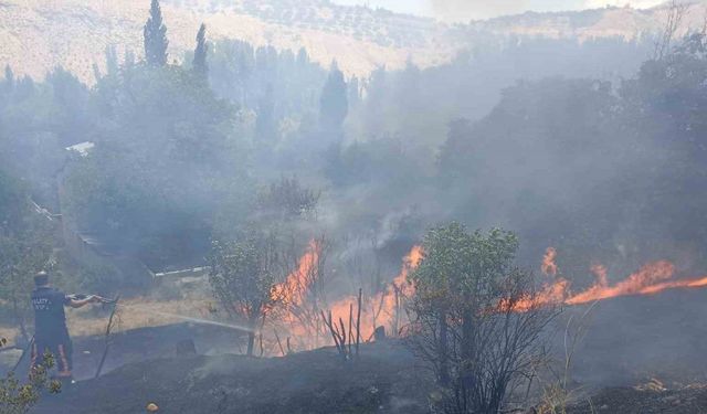 Malatya’da bahçelik alanda korkutan yangın