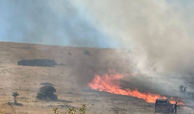 Malatya'da çıkan örtü yangını söndürüldü