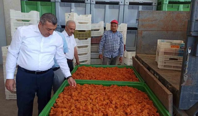 Malatya’da lisanslı depolar 2 haftada yaklaşık bin 500 ton ürün alımı yaptı