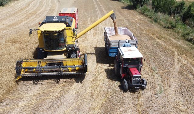 Modern tarım makineleri sayesinde Erzincan Ovası'nda hububat hasadı hızlandı