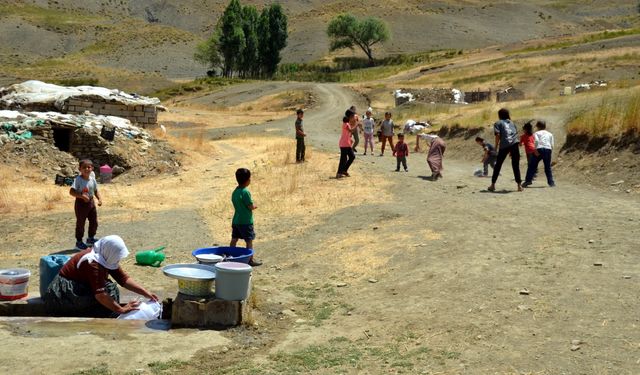 Muş'ta kadınların yayla mesaisi sürüyor