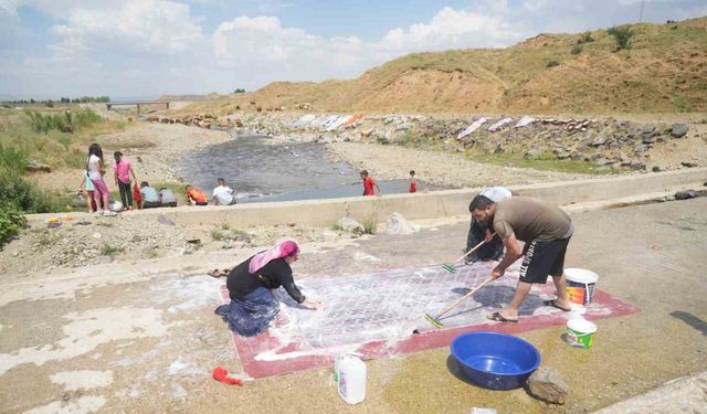 Muş’ta Kızılağaç deresinde renkli görüntüler: Kadınlar halı yıkadı, çocuklar yüzdü