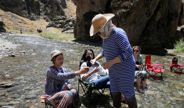 Muş'taki Kızılağaç Kanyonu doğaseverlerin yeni rotası oldu