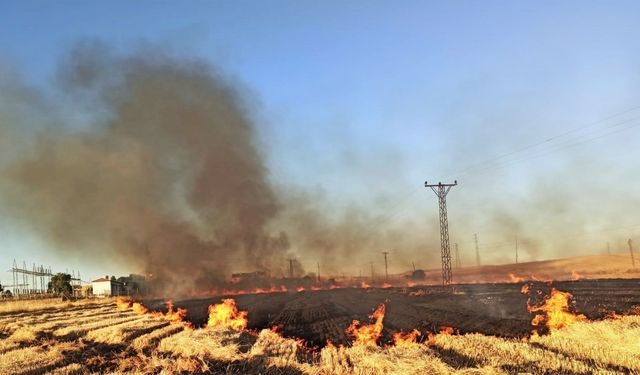 Şanlıurfa’da 16 mahalle anız yüzünden elektriksiz kaldı