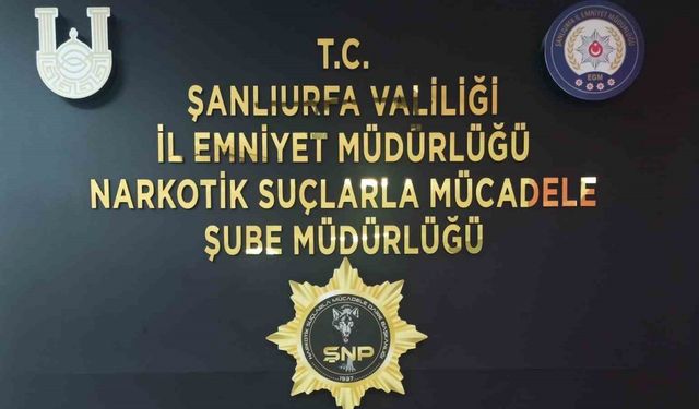 Şanlıurfa’da 6 kilo 550 gram skunk ele geçirildi