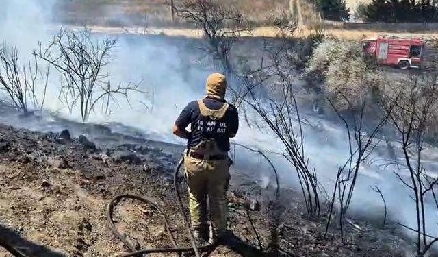 Silivri’de otluk alanda yangın çıktı, yangını söndürmeye çalışan itfaiyeciler arı kovanları için seferber oldu