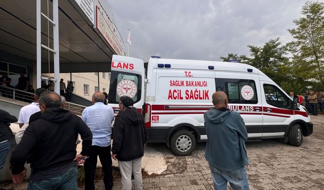 Tunceli'de yıldırım isabet eden 2 kişi yaralandı