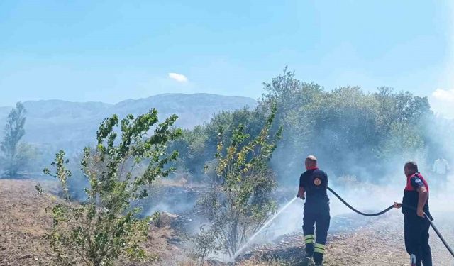 Ağaçlık alanda çıkan yangın itfaiye ekiplerinin müdahalesiyle söndürüldü