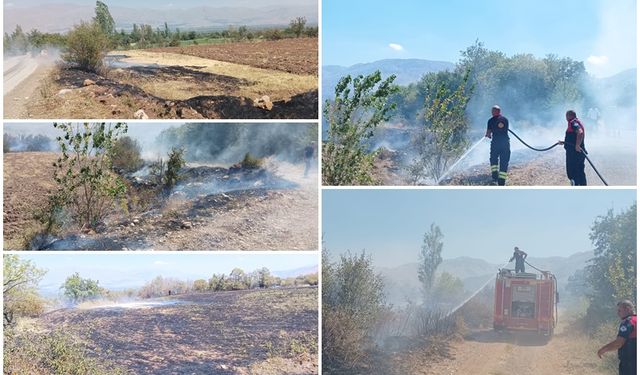 Erzincan’da anız yangını