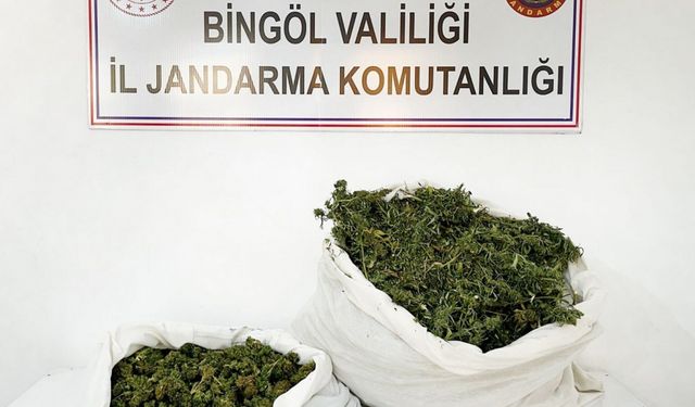 Bingöl'de 12 kilo 460 gram esrar ele geçirildi