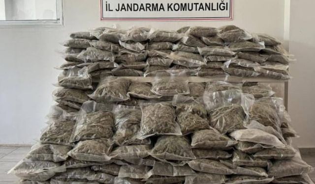 Bingöl'de 153 kilo 680 gram esrar ele geçirildi