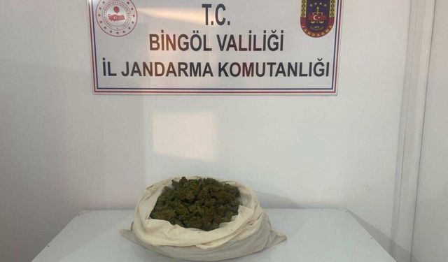 Bingöl'de 815 kök Hint keneviri ve 3 kilo 762 gram esrar ele geçirildi