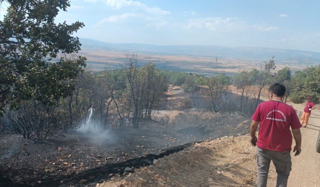 Bingöl'de çıkan orman yangını söndürüldü