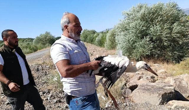 Bingöl'de yaralı bulunan leylek tedavisinin ardından doğaya salındı