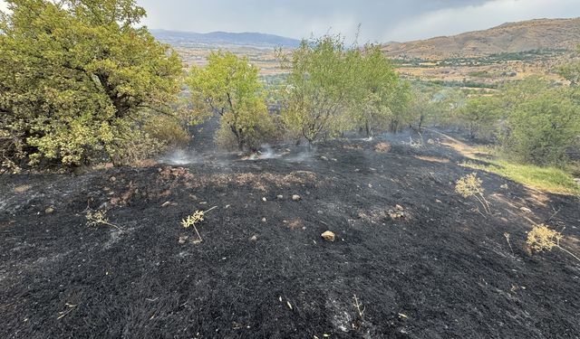 Elazığ’da çıkan yangında 150 dönüm tarım arazisi zarar gördü