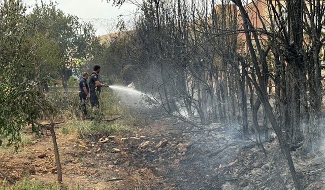 Elazığ'da kırsal arazide çıkan ve yerleşim yerlerindeki bahçelere sıçrayan yangın söndürüldü