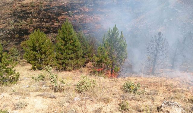 Elazığ'da köyde çıkan yangın söndürüldü