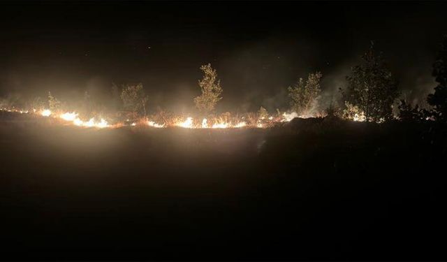 Elazığ'da ormanlık alana yayılan arazi yangını kontrol altına alındı