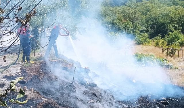 Erzincan'da arazide çıkan yangın söndürüldü