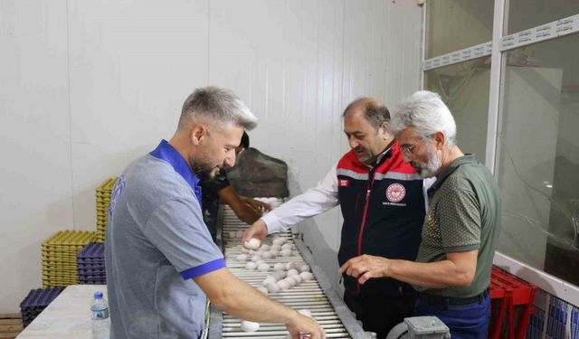 Erzincan’da tam otomatik tesislerde üretilen yumurtalar tarıma değer katıyor