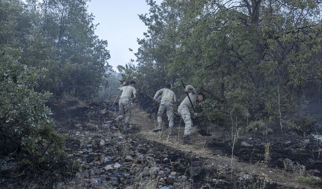 GÜNCELLEME - Tunceli'de ormanlık alanda çıkan yangın söndürüldü